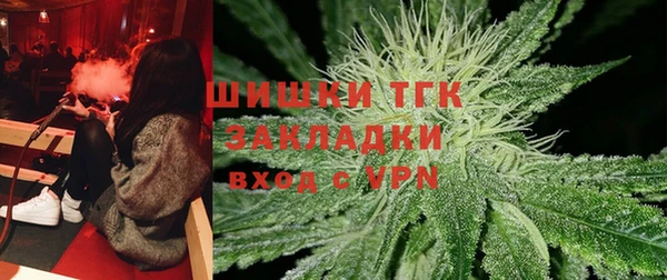 амф Арсеньев