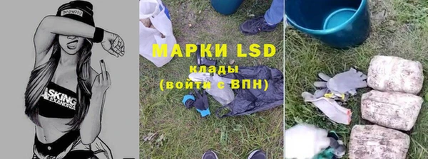 ПСИЛОЦИБИНОВЫЕ ГРИБЫ Армянск