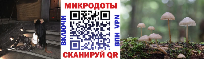 наркотики  Аркадак  Галлюциногенные грибы мухоморы 
